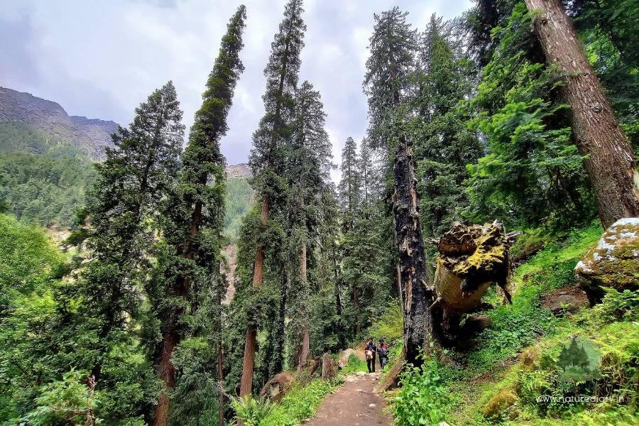 Kasol Kheerganga Trek package from Delhi 3